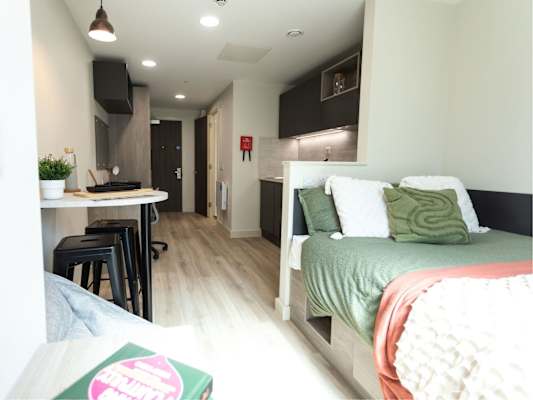 Deluxe Plus Studio room type